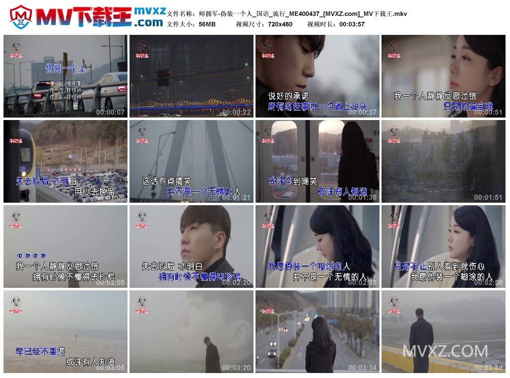 师拥军-伪装一个人_国语_流行_ME400437